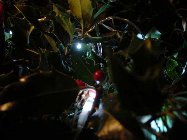 Picture 018.jpg